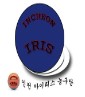 인천아이리스 로고